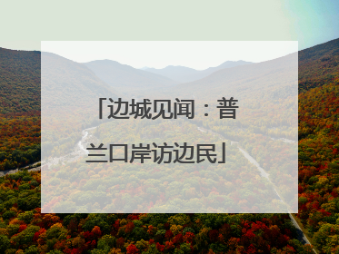 边城见闻：普兰口岸访边民