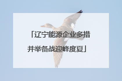 辽宁能源企业多措并举备战迎峰度夏