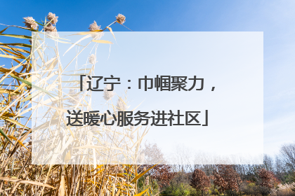 辽宁：巾帼聚力，送暖心服务进社区