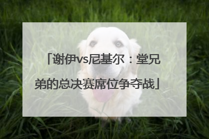 谢伊vs尼基尔：堂兄弟的总决赛席位争夺战