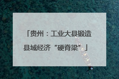 贵州：工业大县锻造县域经济“硬脊梁”