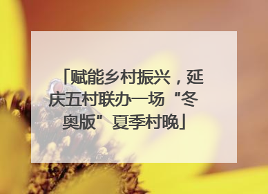赋能乡村振兴，延庆五村联办一场“冬奥版”夏季村晚