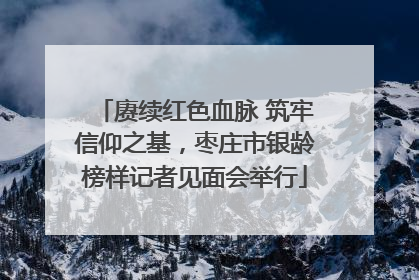 赓续红色血脉 筑牢信仰之基，枣庄市银龄榜样记者见面会举行