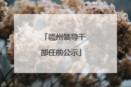赣州领导干部任前公示