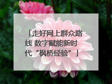 走好网上群众路线 数字赋能新时代“枫桥经验”