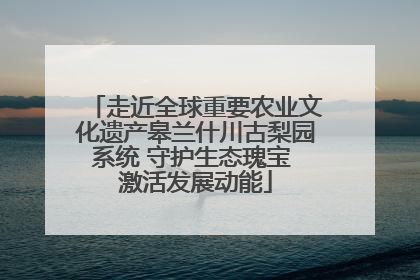走近全球重要农业文化遗产皋兰什川古梨园系统 守护生态瑰宝 激活发展动能