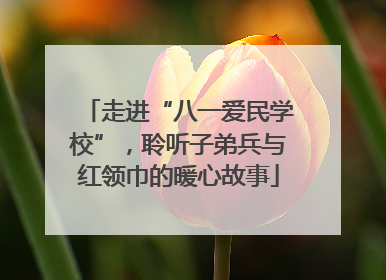 走进“八一爱民学校”，聆听子弟兵与红领巾的暖心故事