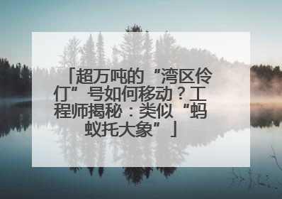 超万吨的“湾区伶仃”号如何移动？工程师揭秘：类似“蚂蚁托大象”