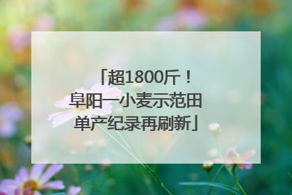 超1800斤！阜阳一小麦示范田单产纪录再刷新
