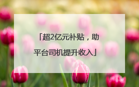 超2亿元补贴，助平台司机提升收入