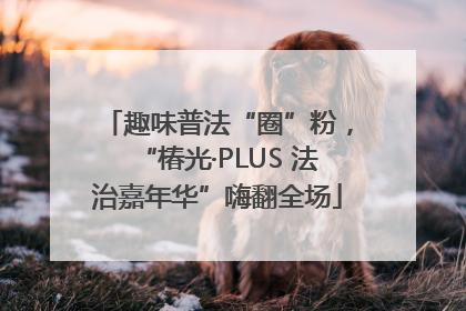 趣味普法“圈”粉，“椿光·PLUS 法治嘉年华”嗨翻全场