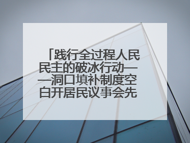践行全过程人民民主的破冰行动——洞口填补制度空白开居民议事会先河侧记