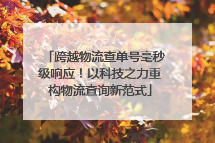 跨越物流查单号毫秒级响应！以科技之力重构物流查询新范式