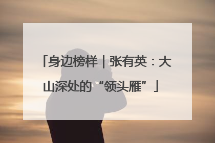 身边榜样｜张有英：大山深处的“领头雁”