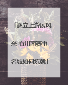 逐立上游展风采 看川南赛事名城如何炼就