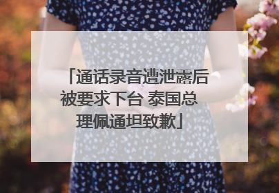 通话录音遭泄露后被要求下台 泰国总理佩通坦致歉