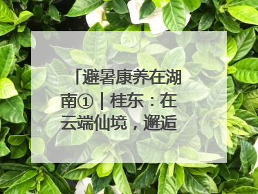 避暑康养在湖南①｜桂东：在云端仙境，邂逅一场清凉之约