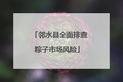 邻水县全面排查粽子市场风险