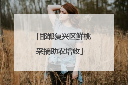 邯郸复兴区鲜桃采摘助农增收