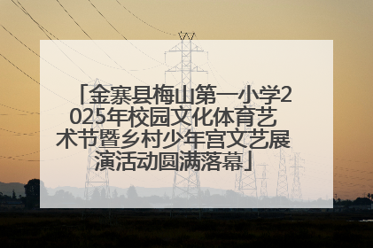 金寨县梅山第一小学2025年校园文化体育艺术节暨乡村少年宫文艺展演活动圆满落幕