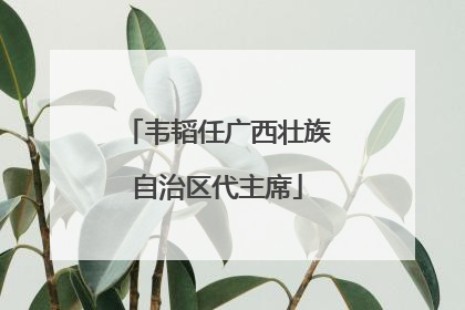 韦韬任广西壮族自治区代主席