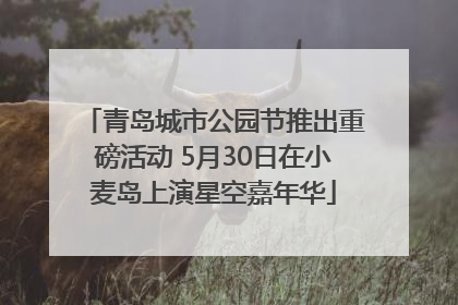青岛城市公园节推出重磅活动 5月30日在小麦岛上演星空嘉年华