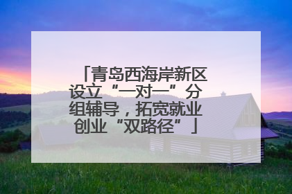 青岛西海岸新区设立“一对一”分组辅导，拓宽就业创业“双路径”