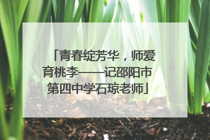 青春绽芳华，师爱育桃李——记邵阳市第四中学石琼老师