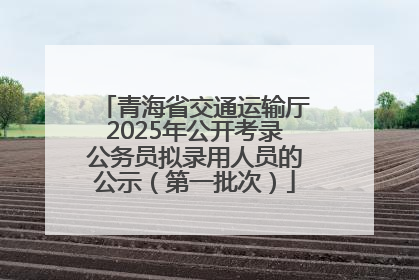 青海省交通运输厅2025年公开考录公务员拟录用人员的公示（第一批次）