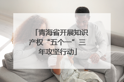 青海省开展知识产权“五个一”三年攻坚行动
