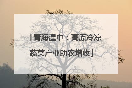 青海湟中：高原冷凉蔬菜产业助农增收