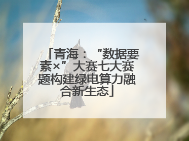 青海：“数据要素×”大赛七大赛题构建绿电算力融合新生态