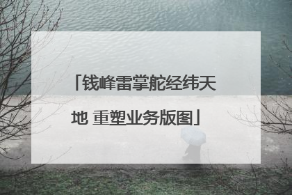 钱峰雷掌舵经纬天地 重塑业务版图