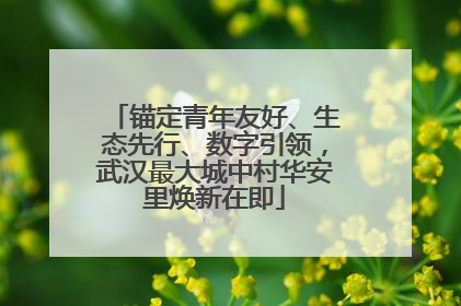 锚定青年友好、生态先行、数字引领，武汉最大城中村华安里焕新在即