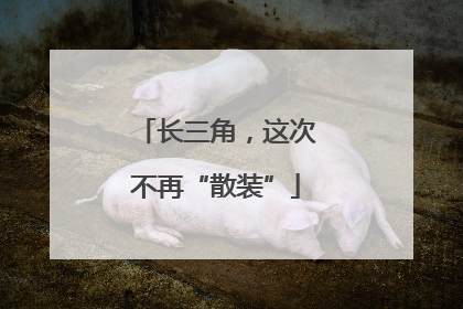 长三角，这次不再“散装”