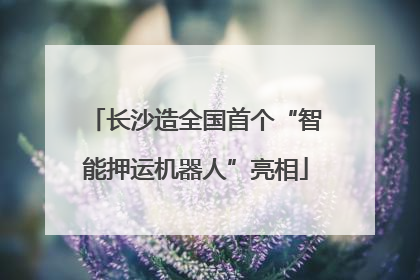 长沙造全国首个“智能押运机器人”亮相