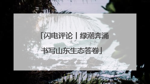 闪电评论丨绿潮奔涌 书写山东生态答卷