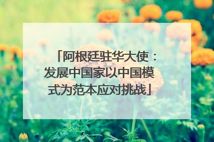 阿根廷驻华大使：发展中国家以中国模式为范本应对挑战