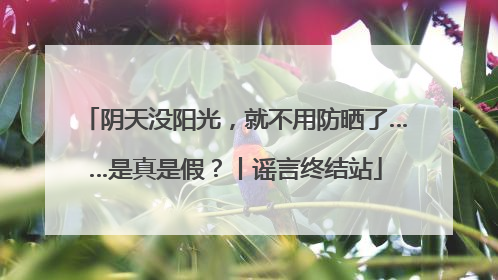 阴天没阳光，就不用防晒了……是真是假？丨谣言终结站