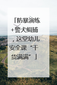 防暴演练+警犬缉捕，这堂幼儿安全课“干货满满”