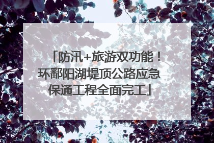 防汛+旅游双功能！环鄱阳湖堤顶公路应急保通工程全面完工