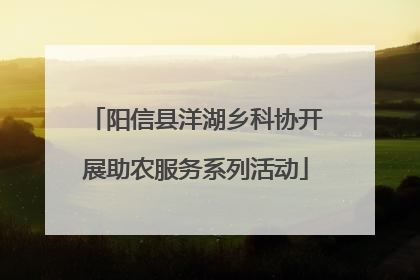 阳信县洋湖乡科协开展助农服务系列活动