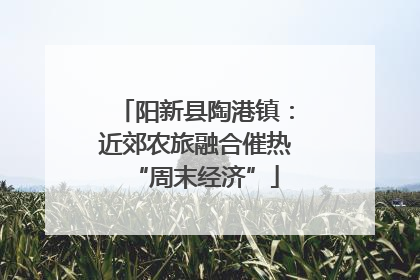 阳新县陶港镇：近郊农旅融合催热“周末经济”