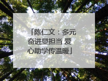 陈仁文：多元奋进显担当 爱心助学传温暖