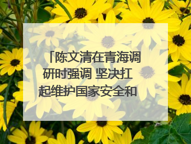 陈文清在青海调研时强调 坚决扛起维护国家安全和社会稳定职责使命 为谱写中国式现代化青海篇章贡献政法力量