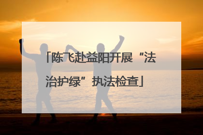 陈飞赴益阳开展“法治护绿”执法检查