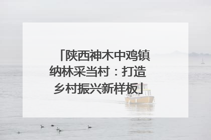 陕西神木中鸡镇纳林采当村：打造乡村振兴新样板