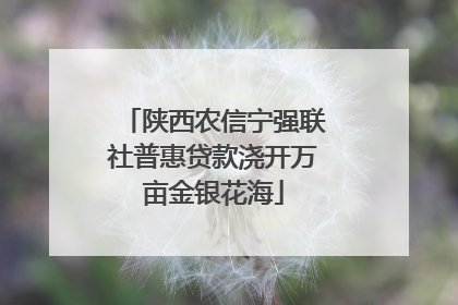 陕西农信宁强联社普惠贷款浇开万亩金银花海