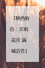 陕西府谷：文明花开 满城芬芳
