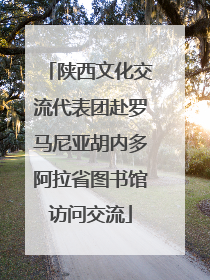 陕西文化交流代表团赴罗马尼亚胡内多阿拉省图书馆访问交流